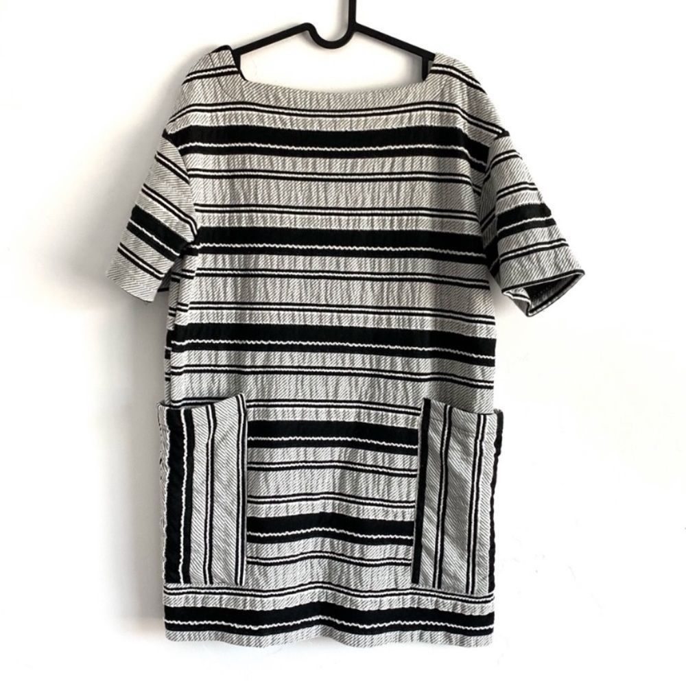 ZARA TRAFALUC Fall/Winter Collection Dress